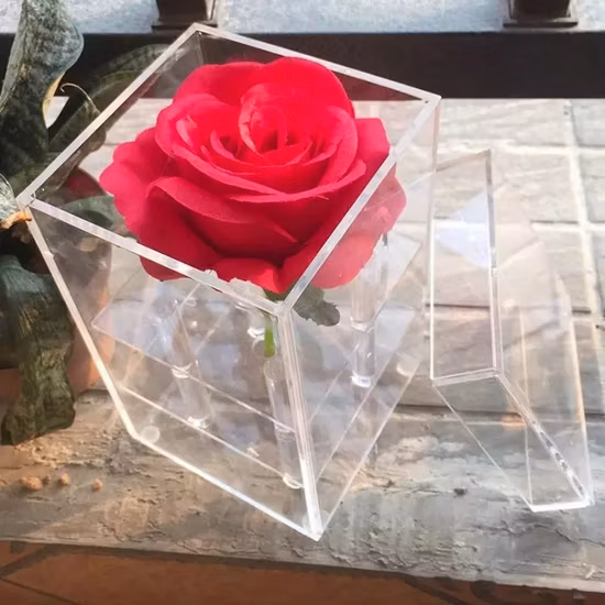 Boîte d'emballage imperméable à l'eau de fleur fraîche conservée par clair acrylique pour l'affichage de fleur de Mmortalized